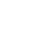 Wim Dejonghe